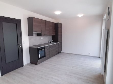 Pronájem bytu, 1+kk, 38 m²