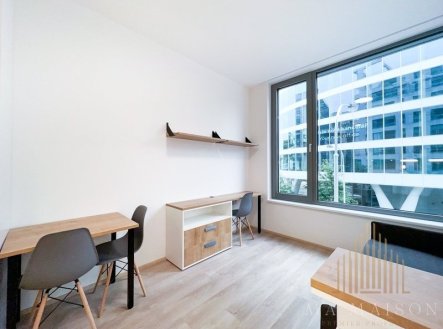Pronájem bytu, 1+kk, 20 m²