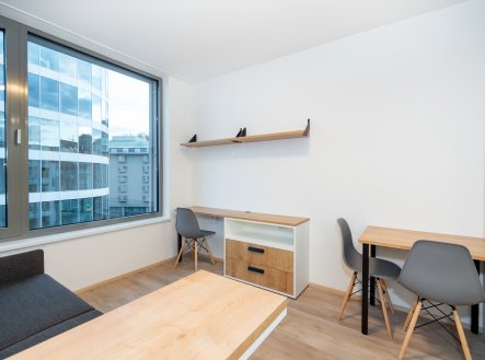 Pronájem bytu, 1+kk, 20 m²