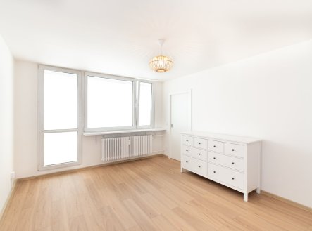 Pronájem bytu, 1+1, 45 m²