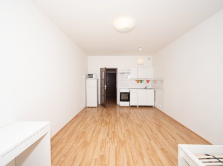 Prodej bytu, 1+kk, 33 m²