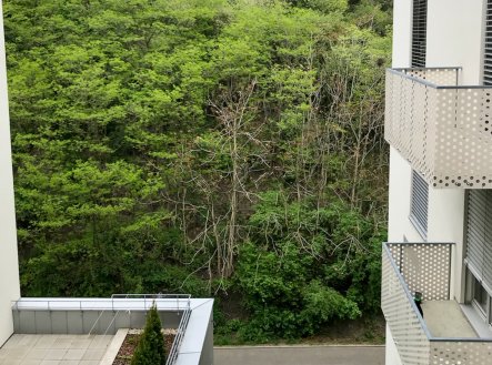 Pronájem bytu, 2+kk, 69 m²