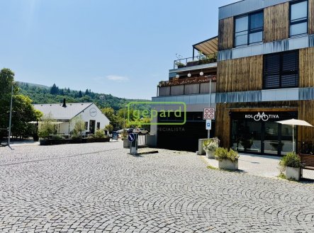 Pronájem