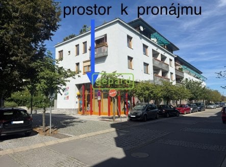 Pronájem obchodní prostory, 40 m²