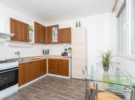 Prodej bytu, 1+1, 47 m²