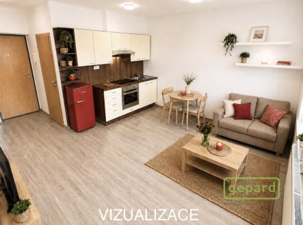 Pronájem bytu, 1+kk, 24 m²