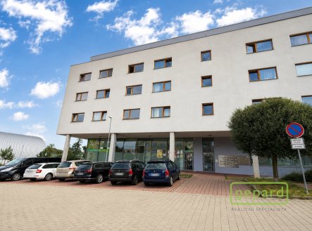 Pronájem bytu, 1+kk, 24 m²