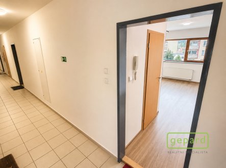 Pronájem bytu, 1+kk, 24 m²