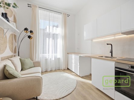Prodej bytu, 1+kk, 24 m²