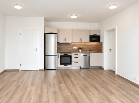 Pronájem bytu, 2+kk, 68 m²