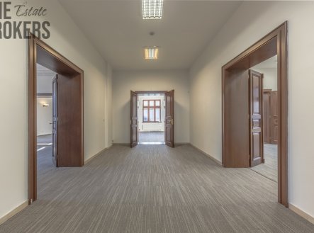 Pronájem kanceláře, 230 m²