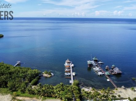 dji-fly-20251020-142504-827-1760992240166-photo-optimized.jpg