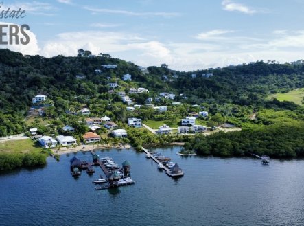 dji-fly-20251020-142644-830-1760992232279-photo-optimized.jpg