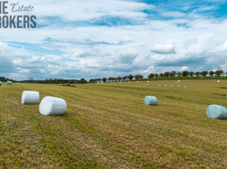 Prodej pozemku, zemědělská půda, 29 192 m²