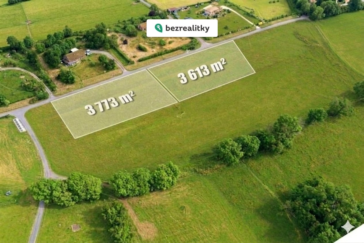 1782836376-zoeszughad-1000006075