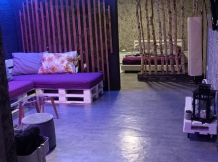 Prodej komerčního objektu, jiný, 11 580 m²