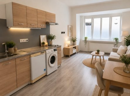 Prodej bytu, 1+kk, 30 m²
