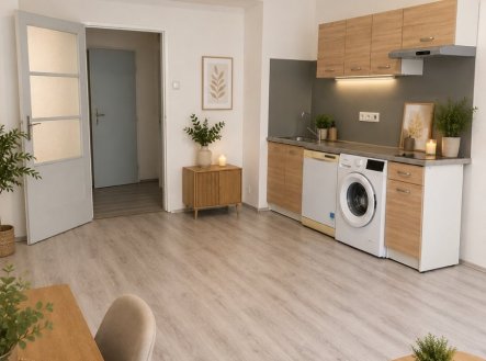 Prodej bytu, 1+kk, 30 m²