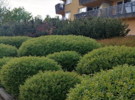 Prodej domu/vily, 100 m²