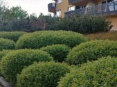 Prodej bytu, 4+kk, 100 m²