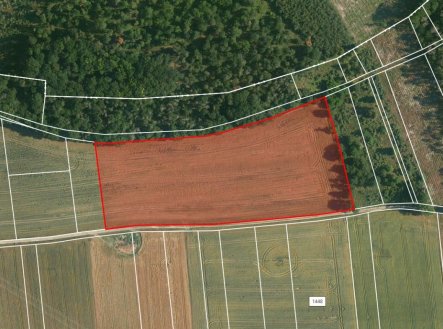 Prodej pozemku, zemědělská půda, 21 840 m²