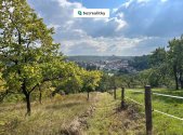 Prodej pozemku pro bydlení, 3 055 m²