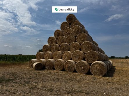 Prodej pozemku, zemědělská půda, 83 000 m²