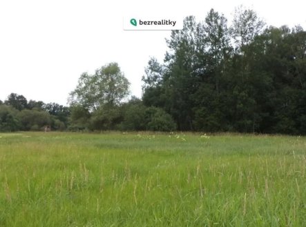 Prodej pozemku, trvalý travní porost, 5 581 m²