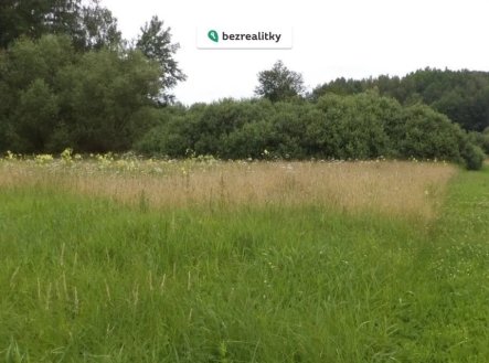 Prodej pozemku, trvalý travní porost, 5 581 m²