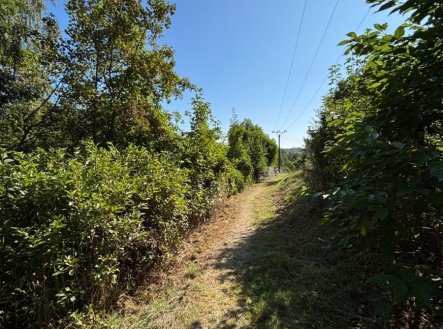 Prodej pozemku pro bydlení, 494 m²