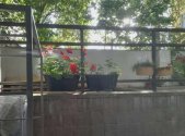 Prodej bytu, 3+kk, 51 m²