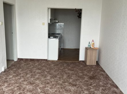 Prodej bytu, 2+kk, 45 m²