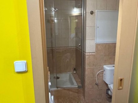 Prodej bytu, 2+kk, 43 m²