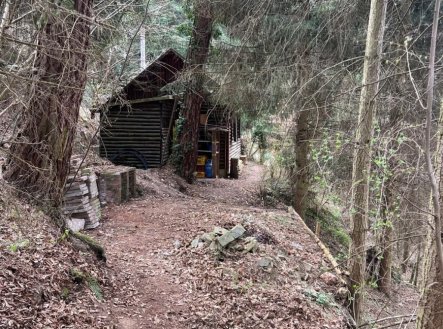 Prodej chaty/rekreačního objektu, 31 m²