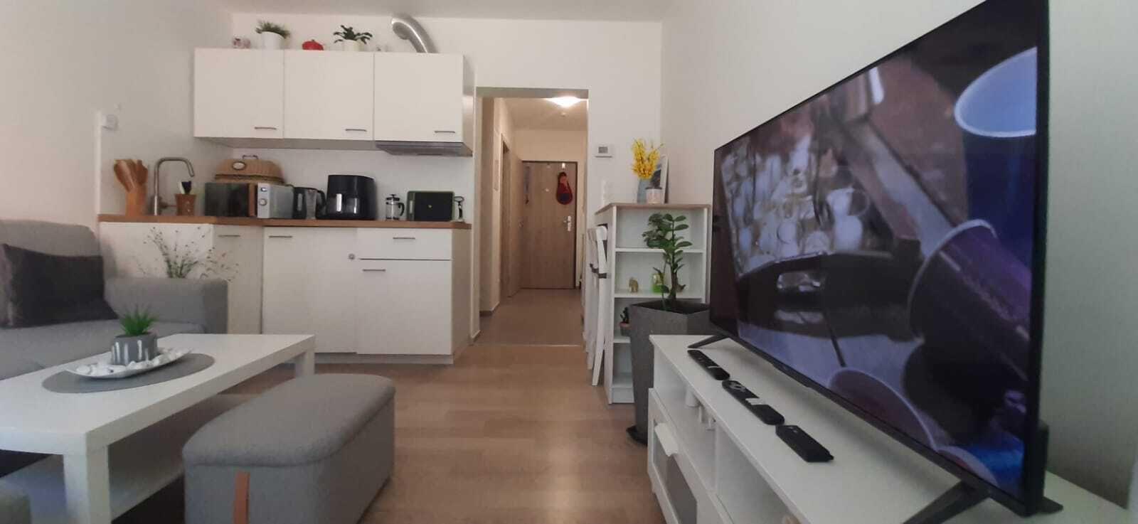 Pronájem novostavby útulného bytu 1kk se zahrádkou a sklepem Rosice u Brna