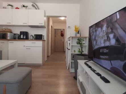 Pronájem bytu, 1+kk, 26 m²