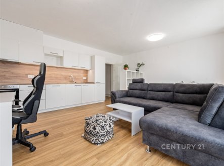 Pronájem bytu, 1+kk, 42 m²