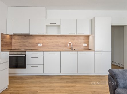 Pronájem bytu, 1+kk, 42 m²