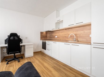 Pronájem bytu, 1+kk, 42 m²