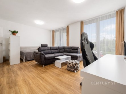 Pronájem bytu, 1+kk, 42 m²