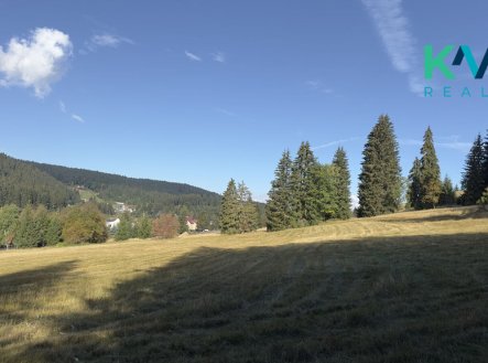 img-3719.jpg | Prodej - pozemek, trvalý travní porost, 25 316 m²