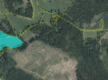 vyrez-nahled-na-pozemky-pod-lv-583-pernink.jpg | Prodej - pozemek, trvalý travní porost, 25 316 m²