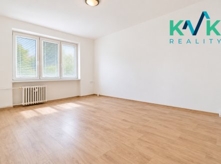Pronájem bytu, 1+1, 45 m²