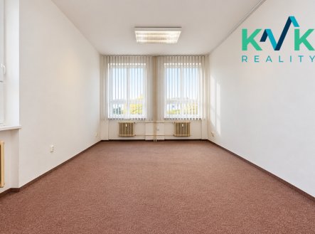Pronájem jiné komerční nemovitosti, 195 m²