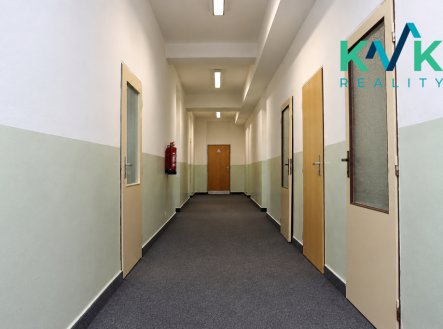 Pronájem jiné komerční nemovitosti, 195 m²