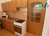 Pronájem bytu, 1+1, 45 m²