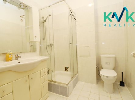 Pronájem bytu, 1+1, 45 m²