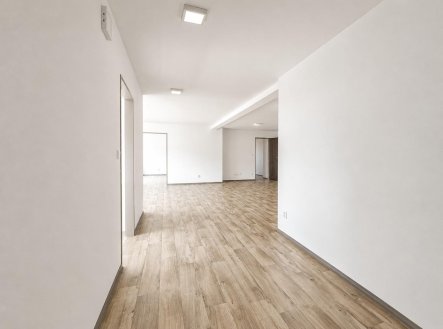 Pronájem bytu, 5+1, 130 m²