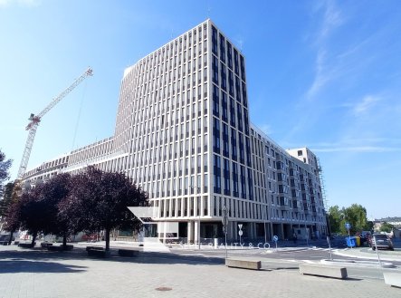 Pronájem