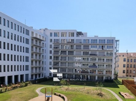 Pronájem